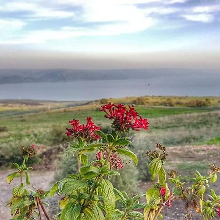 Appartamento Sea Of Galilee Site Chorazim Esterno foto