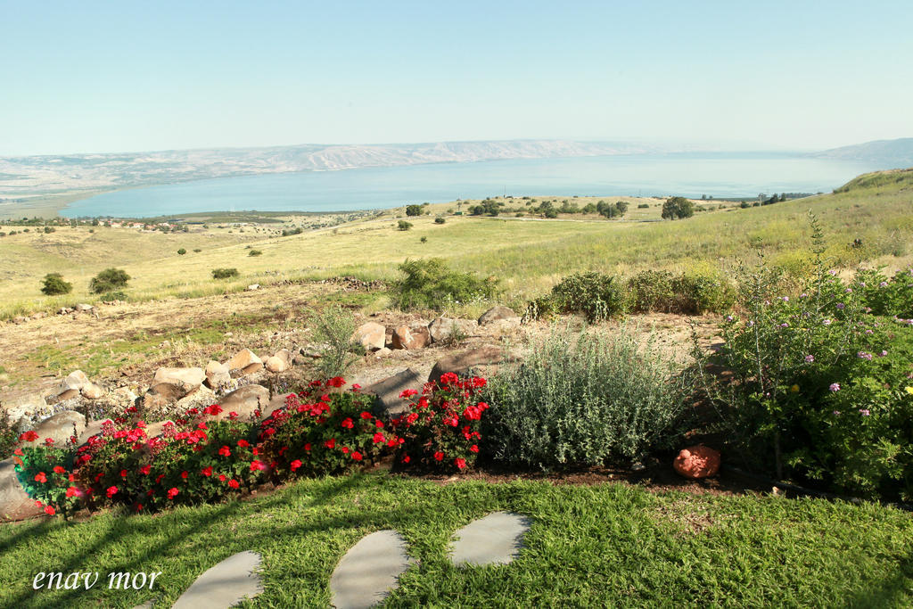 Appartamento Sea Of Galilee Site Chorazim Esterno foto