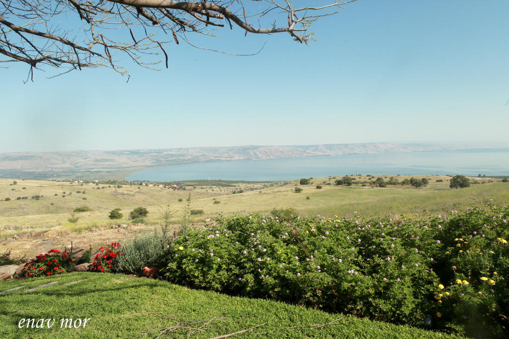 Appartamento Sea Of Galilee Site Chorazim Esterno foto