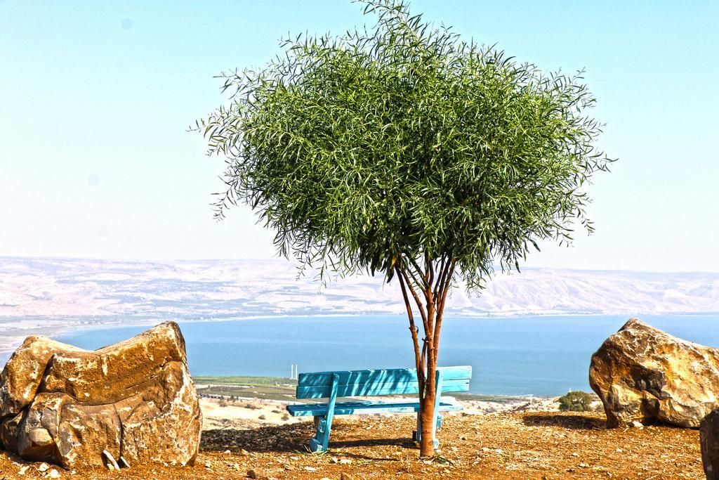 Appartamento Sea Of Galilee Site Chorazim Esterno foto